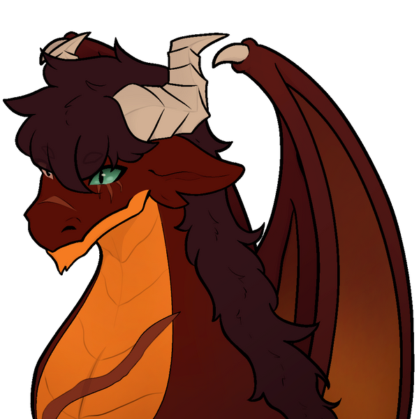 RedDragon6969