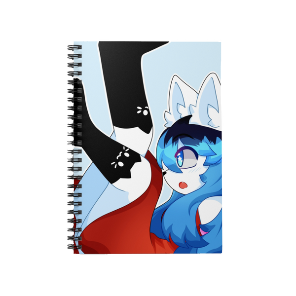 Notebooks