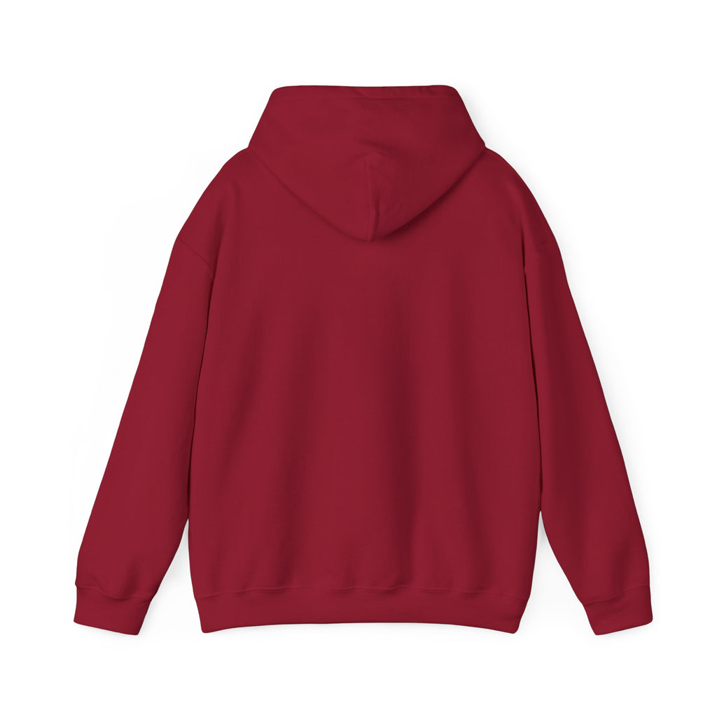BwnPNGTuber "The Legend of BWN" Hoodie