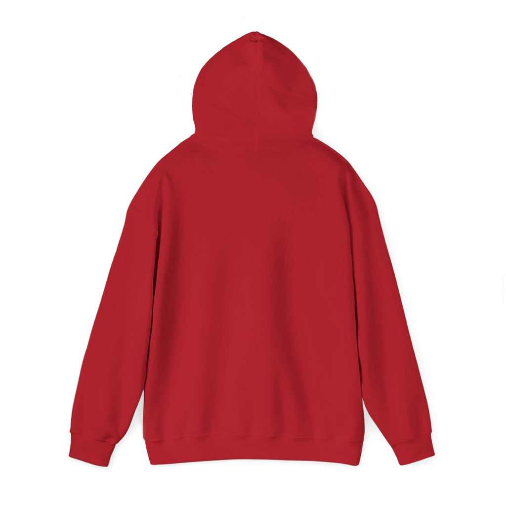 Kou Amashita Hoodie