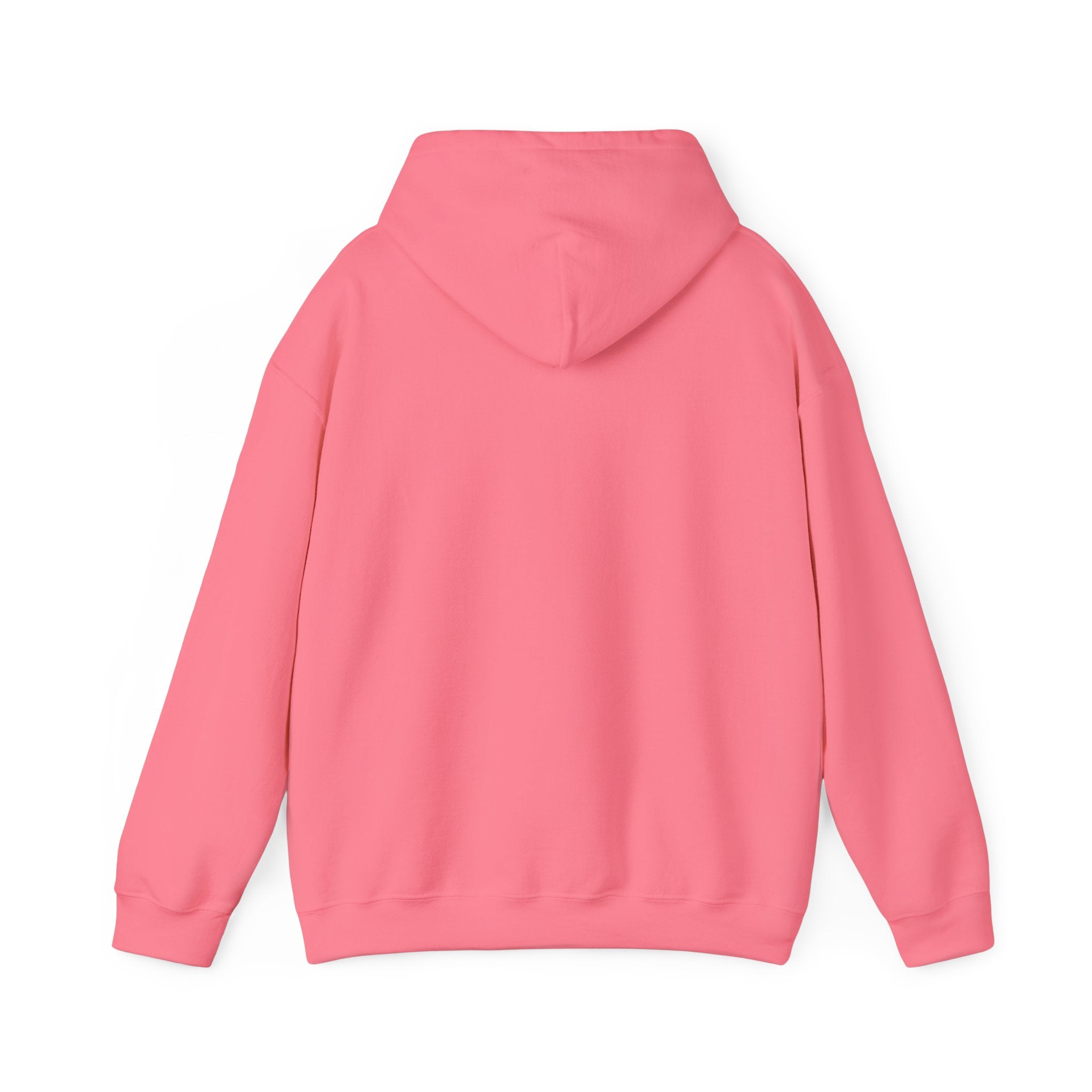 Zarina Aqua Sweatshirt
