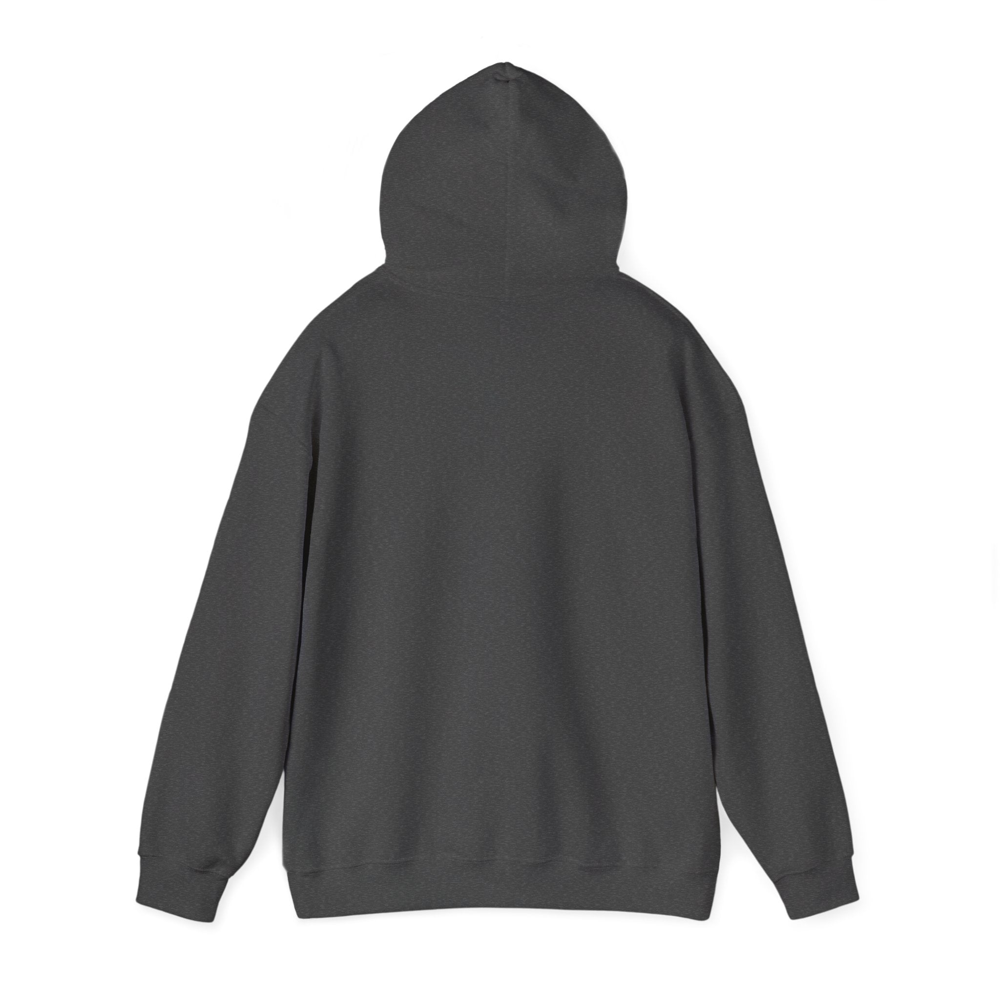 AzukitouVT "Beach Day" Hoodie