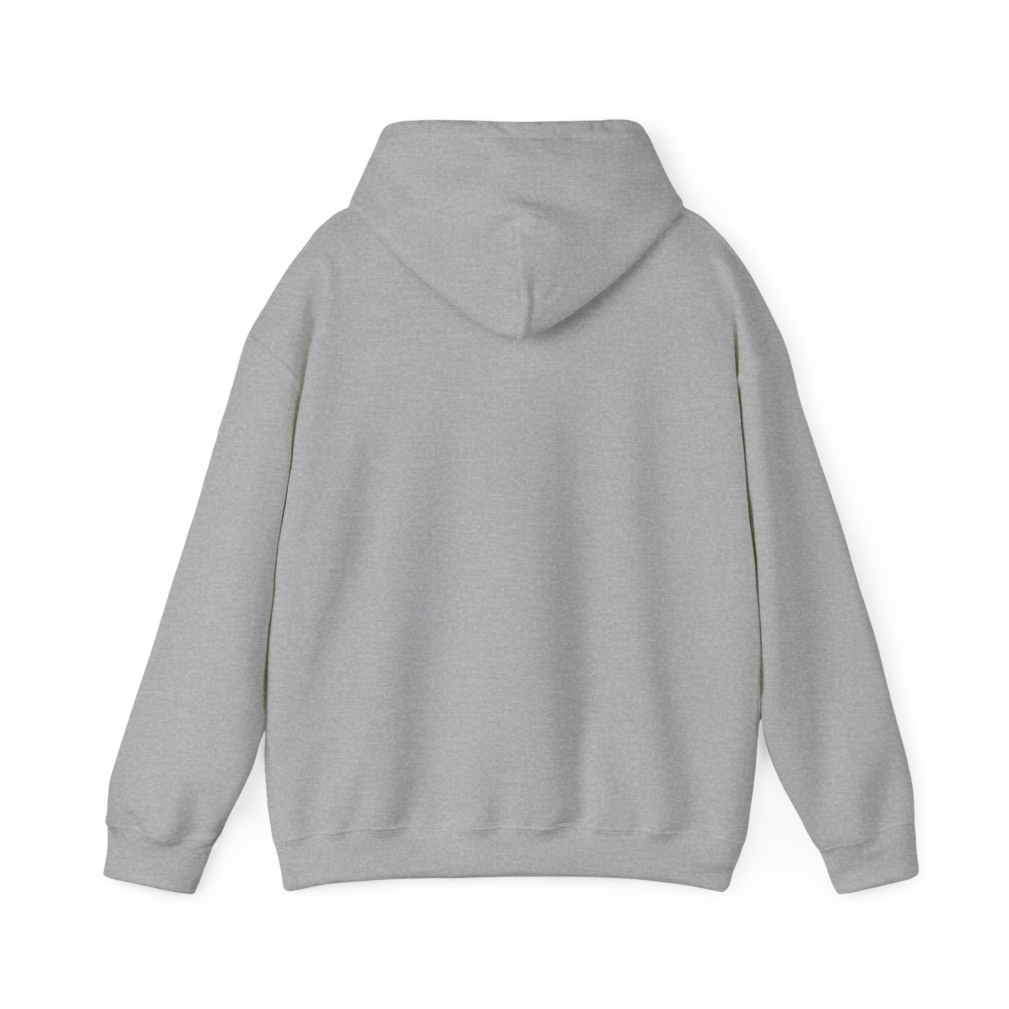 BasicallyVal "Red and Blue" Hoodie