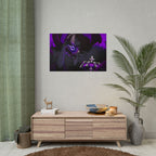 Void Devourer htxLion Poster
