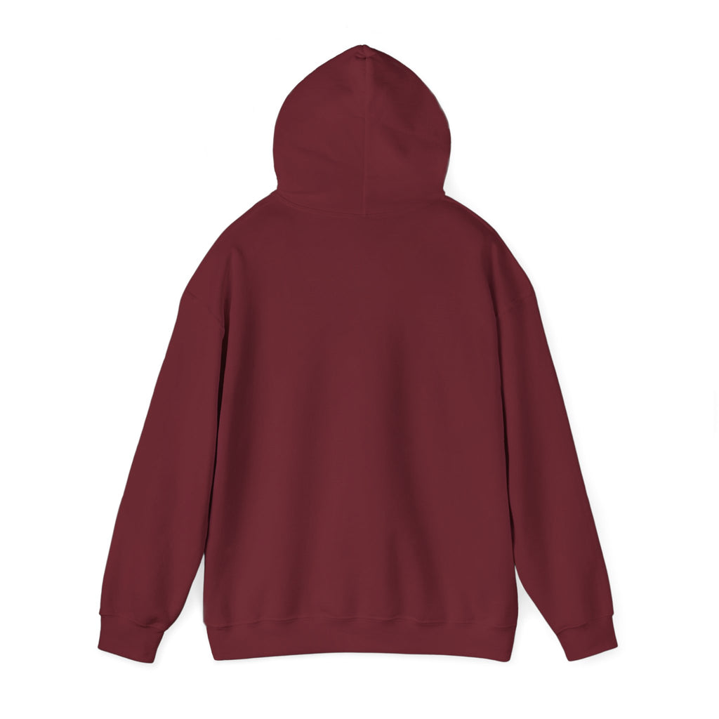 BwnPNGTuber "The Legend of BWN" Hoodie