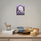 Dreamzzage "Butterfly" Poster