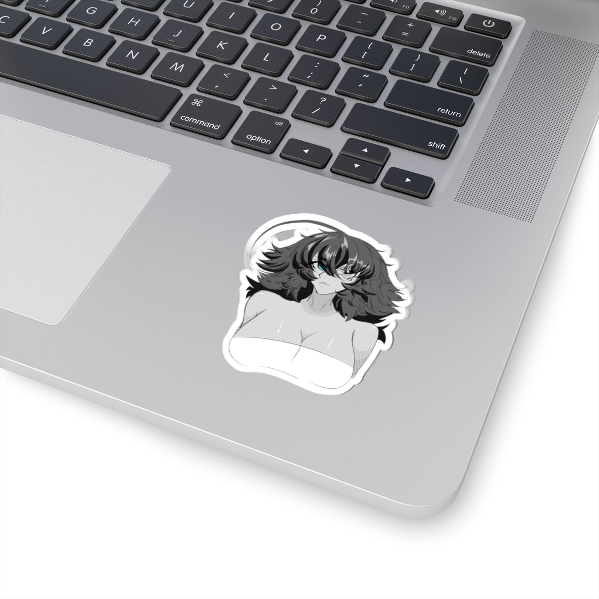 BW Bust Up Meru Sticker