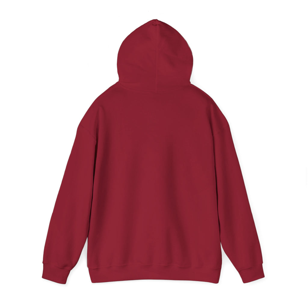 BwnPNGTuber "The Legend of BWN" Hoodie