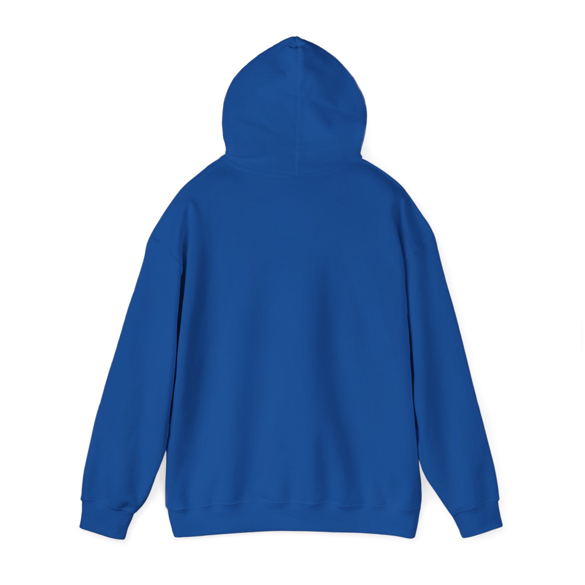 BasicallyVal "Red and Blue" Hoodie