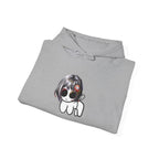 Vatsun Kabuki "Creature" Hoodie