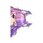 vixxievt "Peeker" Decal