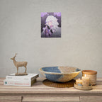 Dreamzzage "Butterfly" Poster