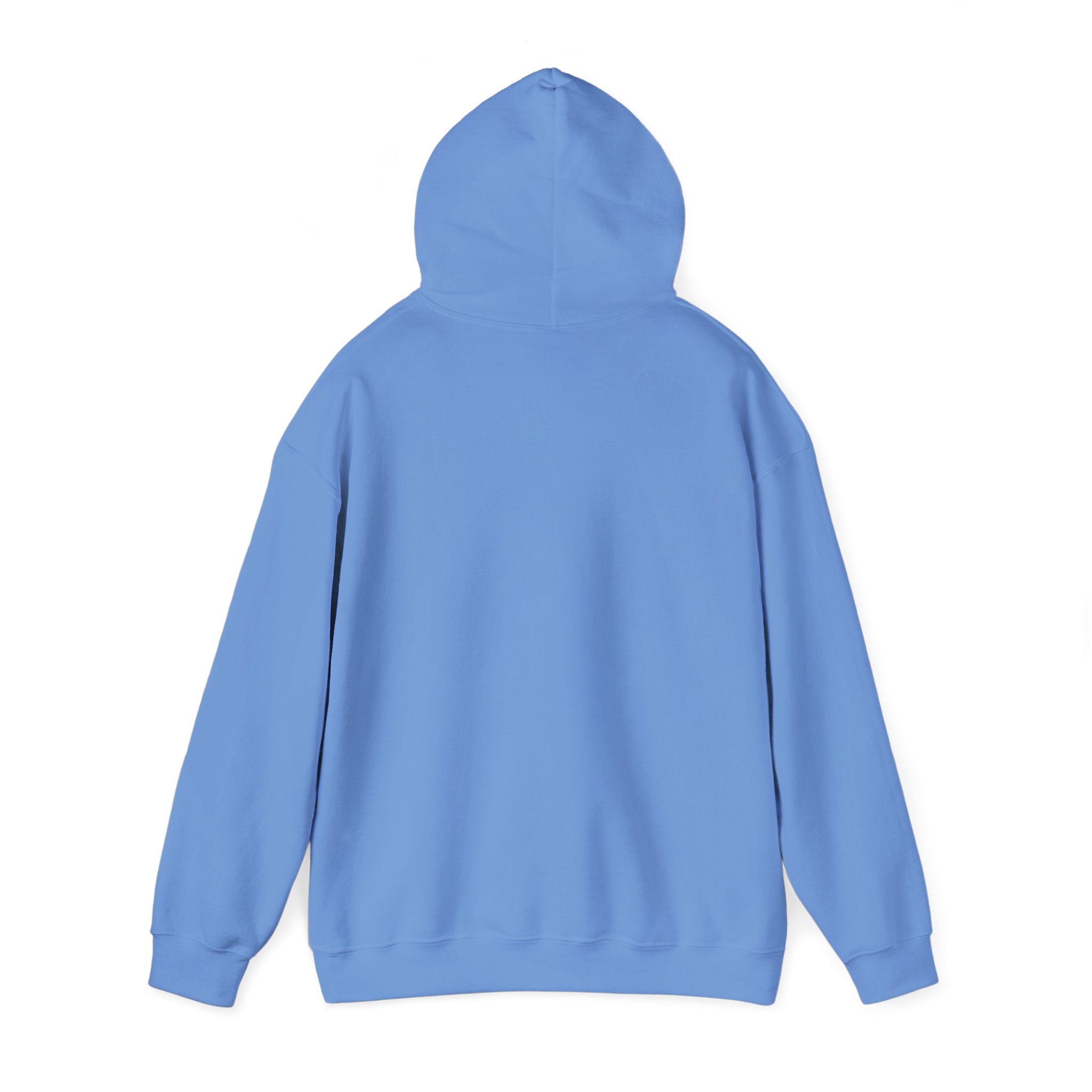 ashernamidavt Hoodie