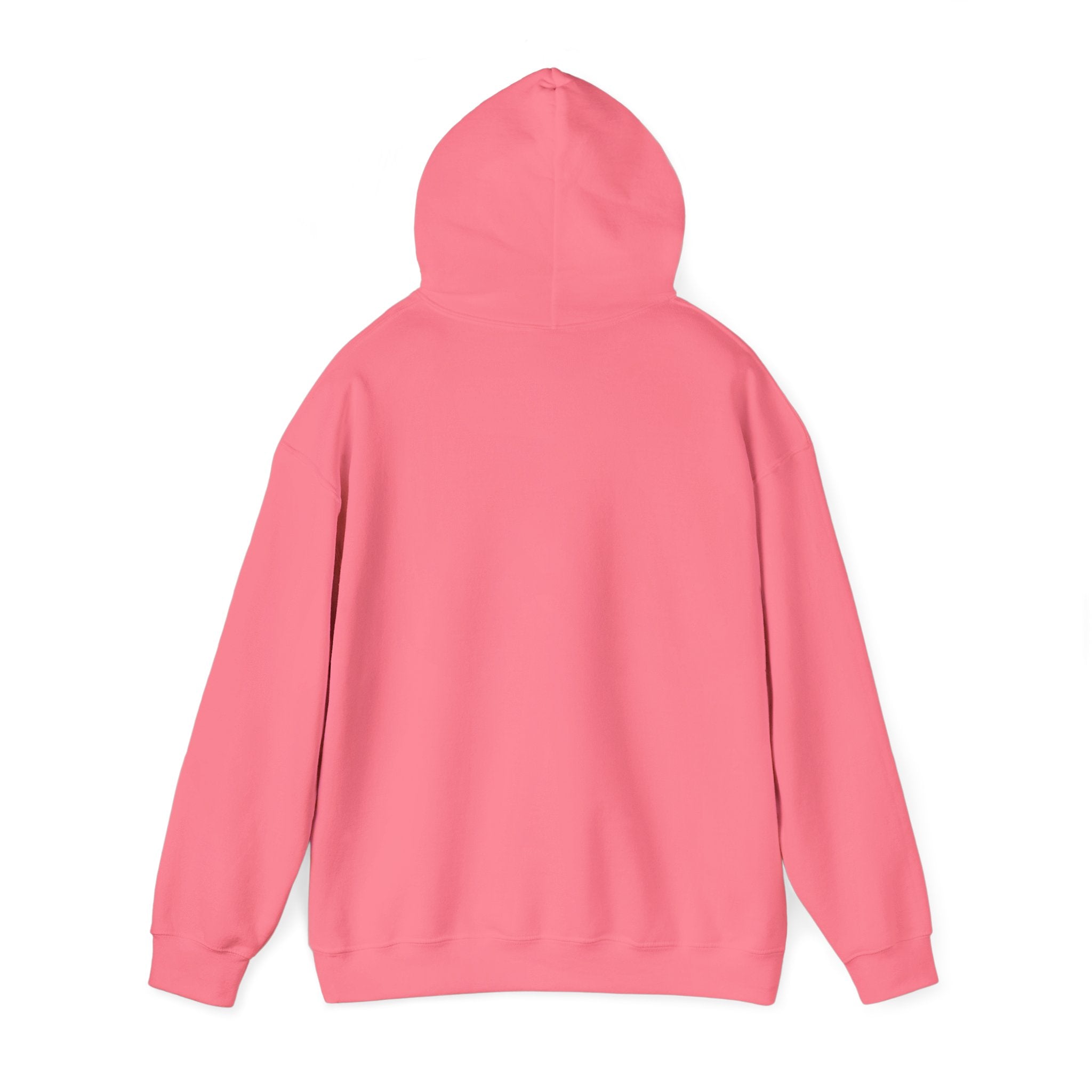 Zarina Aqua Sweatshirt