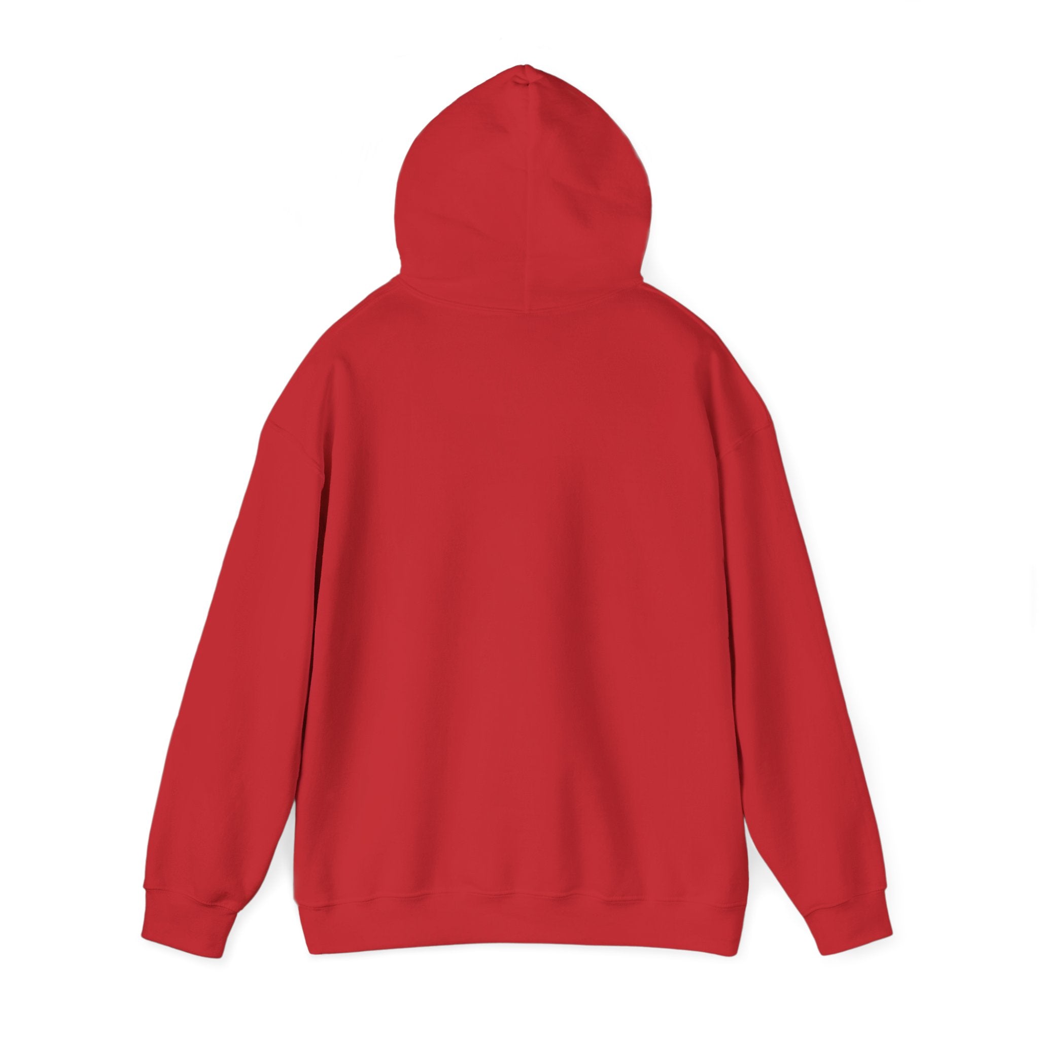 BasicallyVal "Red and Blue" Hoodie