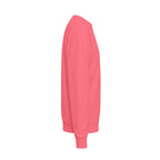 tealeafshark Sweatshirt