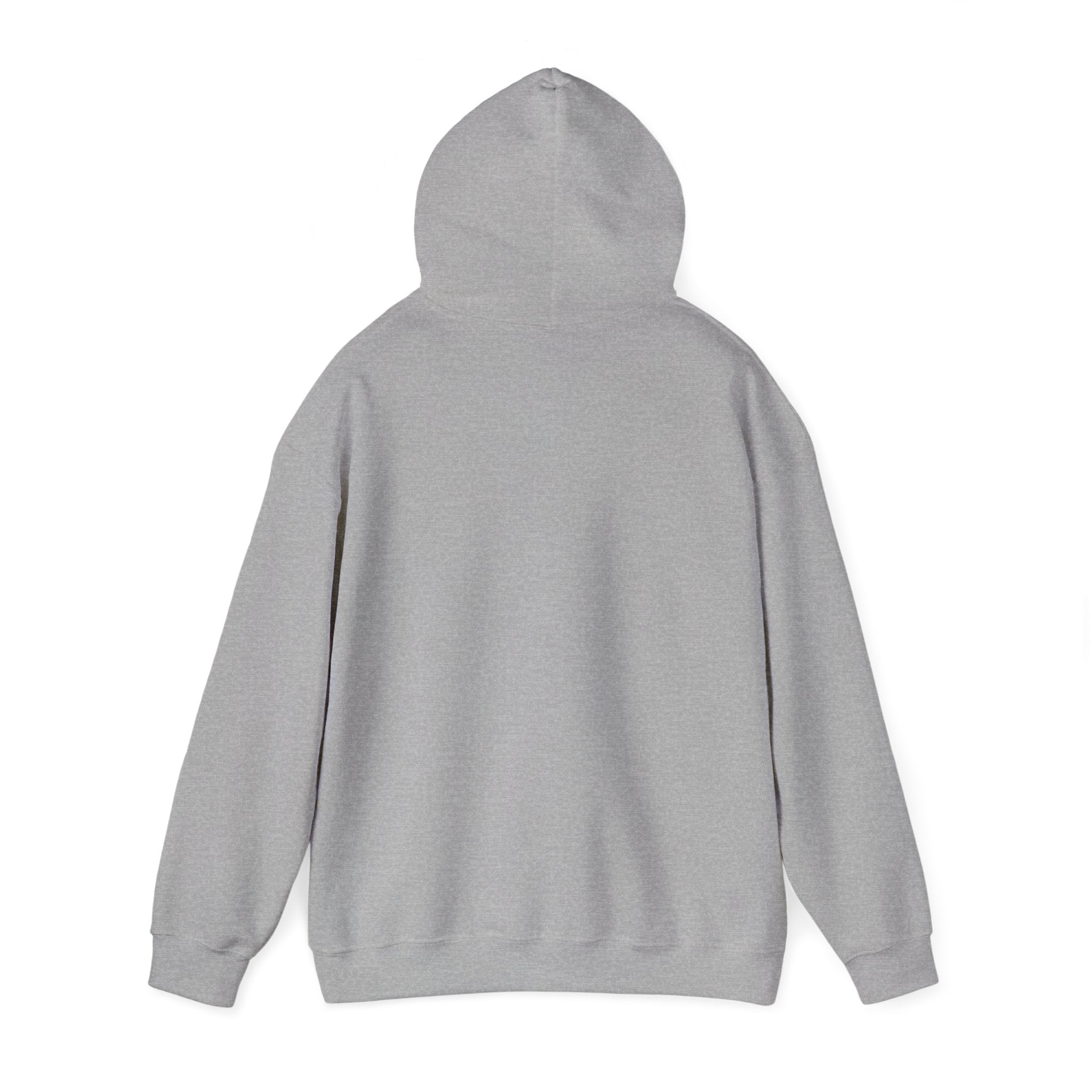 BasicallyVal "Red and Blue" Hoodie