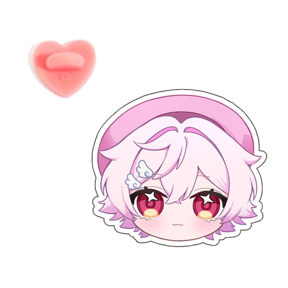 echovtstudio Acrylic Pin