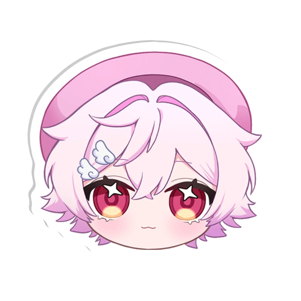 echovtstudio Acrylic Pin